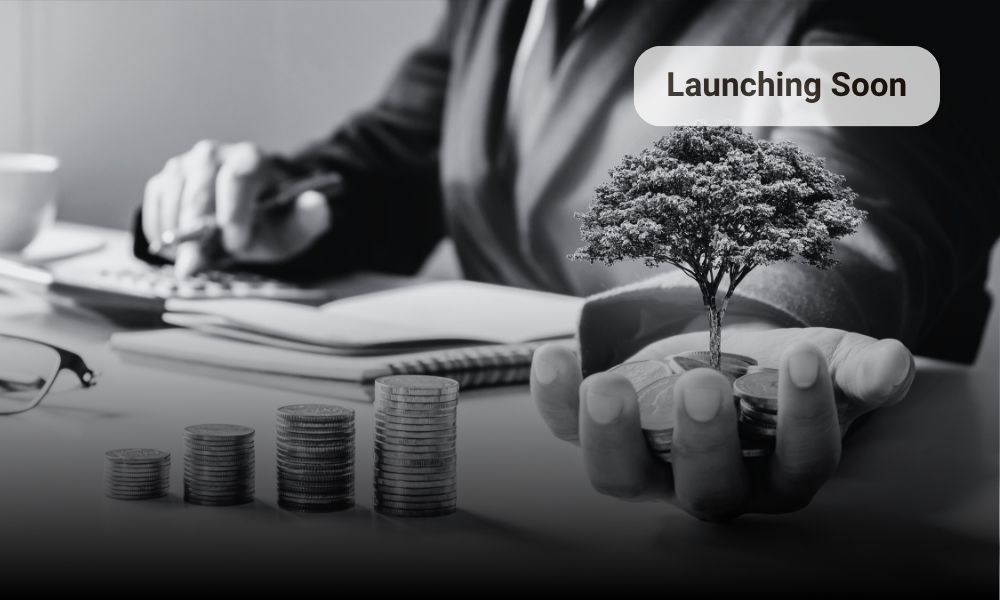 Entrepreneurial Mindset and Leadership Program